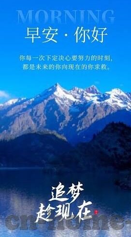 j罗世界杯怎么没上-J罗的世界杯缺席，伤病与战术调整的遗憾